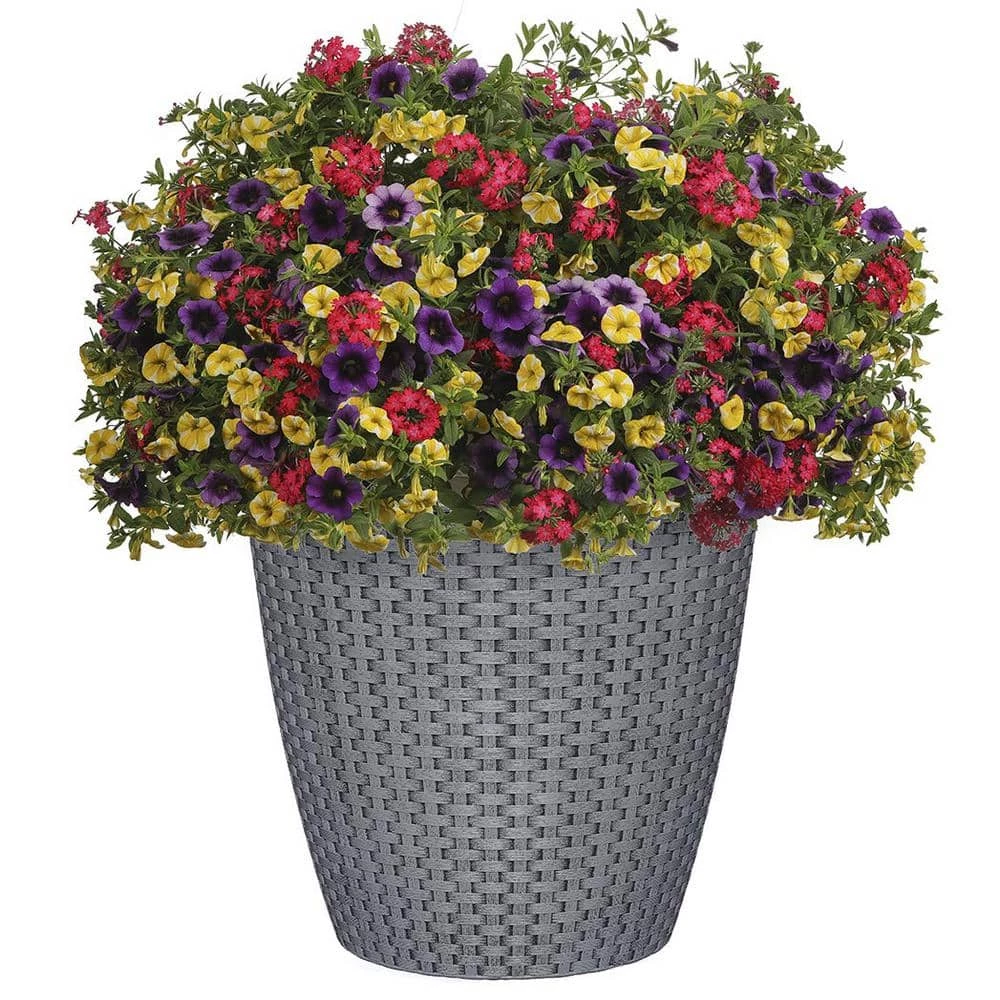 Classic Home & Garden Nantucket 12 in. Harbor Gray Resin Planter 4 Classic Home & Garden Nantucket 12 in. Harbor Gray Resin Planter - Image 2