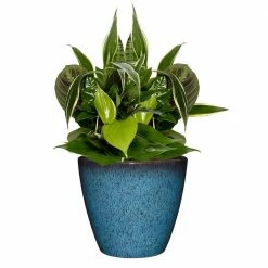 Classic Home & Garden Vogue 8 in. Indigo Speckle Resin Planter 8 Classic Home & Garden Vogue 8 in. Indigo Speckle Resin Planter -Cheap Good Directions Store indigo speckle classic home garden plant pots 807 375r 4f 1000