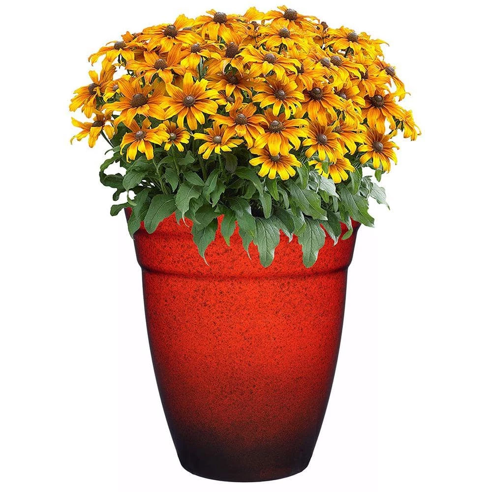 Classic Home & Garden 12 in. Lava Red Allaire Resin Planter 4 Classic Home & Garden 12 in. Lava Red Allaire Resin Planter - Image 2