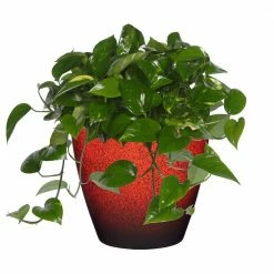 Classic Home & Garden Vogue 8 in. Lava Red Resin Planter 8 Classic Home & Garden Vogue 8 in. Lava Red Resin Planter -Cheap Good Directions Store lava red classic home garden plant pots 807 376r 4f 1000