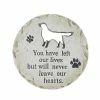 Exhart Dog Memorial Marker 11.75 in. x 11.75 in. x 0.875 in. Dog Memorial Magnesium Step Stone 2 Exhart Dog Memorial Marker 11.75 in. x 11.75 in. x 0.875 in. Dog Memorial Magnesium Step Stone -Cheap Good Directions Store multicolor exhart stepping stones 73183 rs 64 1000