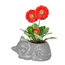Classic Home & Garden Large Natural Cement Sleeping Cat Planter 8 Classic Home & Garden Large Natural Cement Sleeping Cat Planter -Cheap Good Directions Store natural classic home garden plant pots 260009p 396 4f 1000