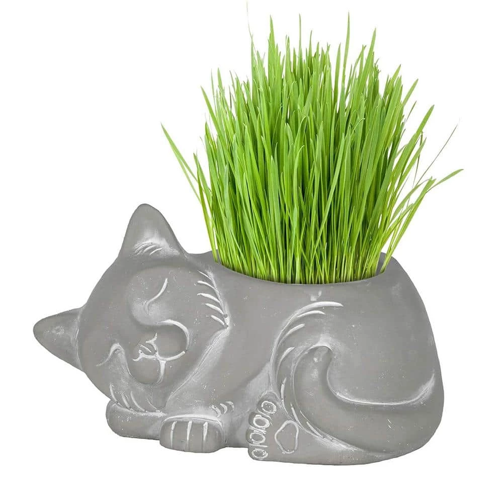Classic Home & Garden Large Natural Cement Sleeping Cat Planter 4 Classic Home & Garden Large Natural Cement Sleeping Cat Planter - Image 2