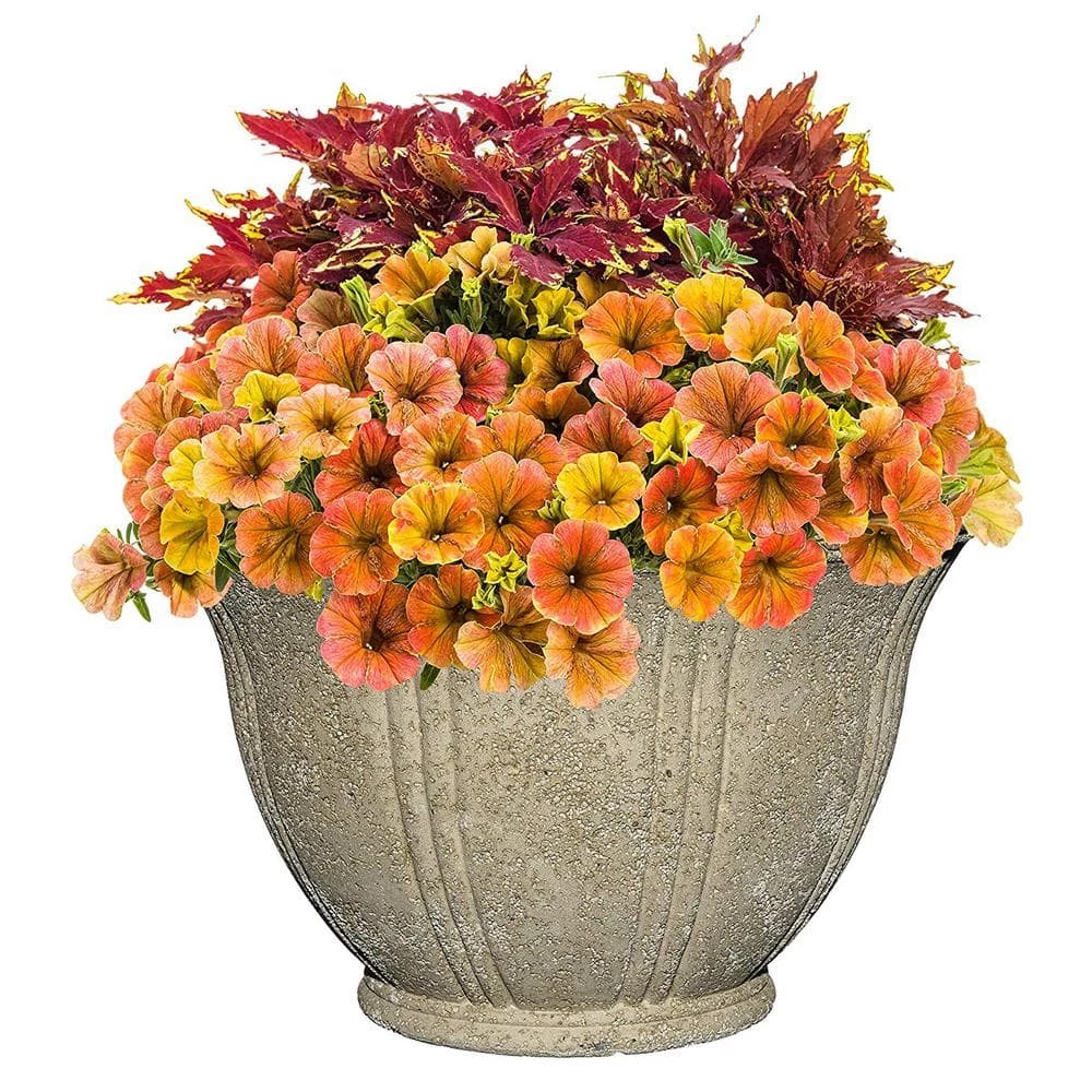 Classic Home & Garden 22 in. Natural Lava Stone Low Dorset Pot Planter 5 Classic Home & Garden 22 in. Natural Lava Stone Low Dorset Pot Planter - Image 3