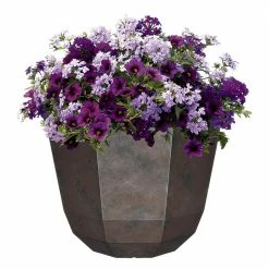 Classic Home & Garden 15 in. Northern Lights Shaina Resin Planter 8 Classic Home & Garden 15 in. Northern Lights Shaina Resin Planter -Cheap Good Directions Store northern lights classic home garden plant pots 8005 379r 4f 1000