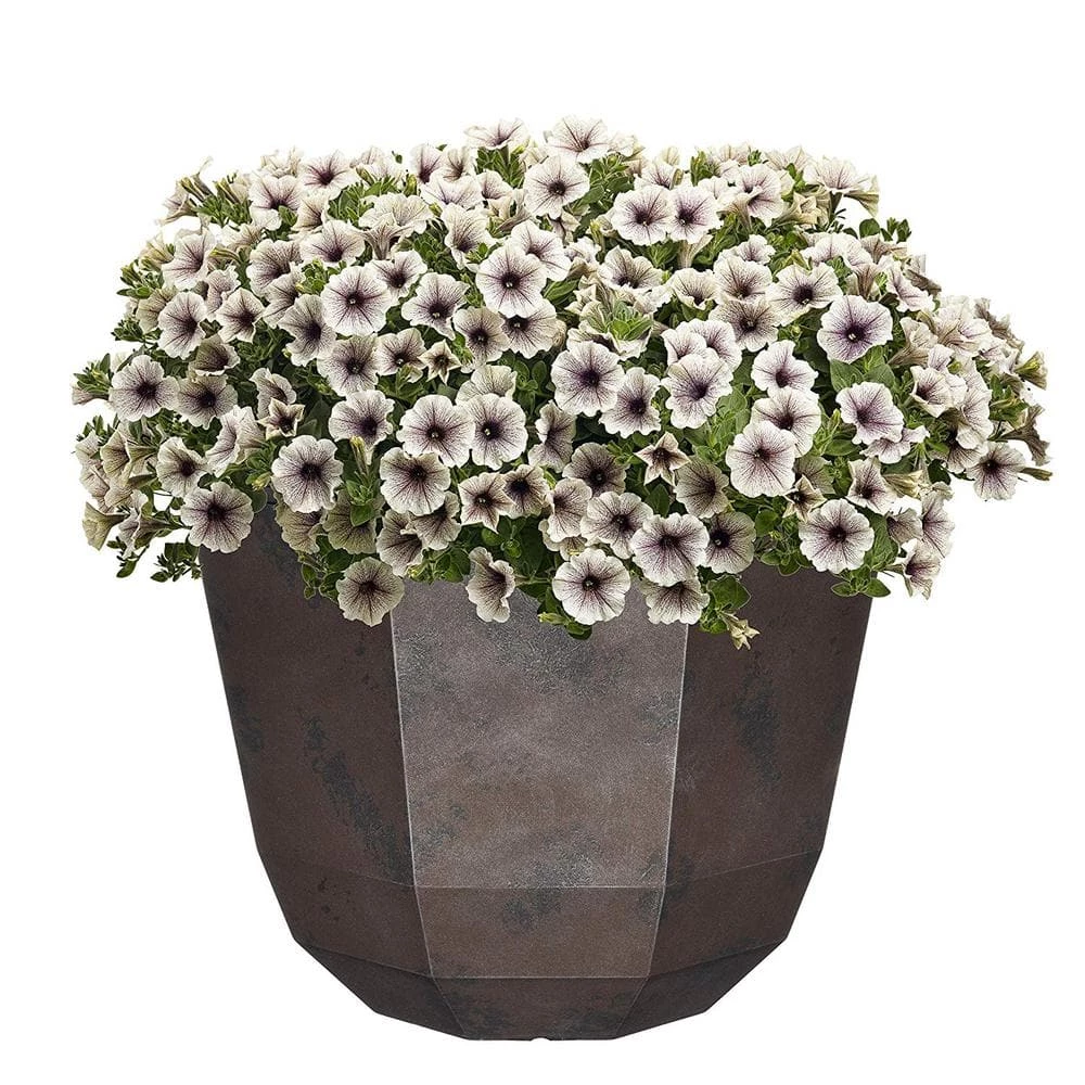 Classic Home & Garden 15 in. Northern Lights Shaina Resin Planter 4 Classic Home & Garden 15 in. Northern Lights Shaina Resin Planter - Image 2