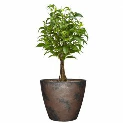 Classic Home & Garden Vogue 8 in. Northern Lights Resin Planter 8 Classic Home & Garden Vogue 8 in. Northern Lights Resin Planter -Cheap Good Directions Store northern lights classic home garden plant pots 807 379r 4f 1000