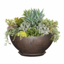 Classic Home & Garden 10 in. Northern Lights Rosie Bowl Resin Planter 8 Classic Home & Garden 10 in. Northern Lights Rosie Bowl Resin Planter -Cheap Good Directions Store northern lights classic home garden plant pots 9010d 379r 4f 1000
