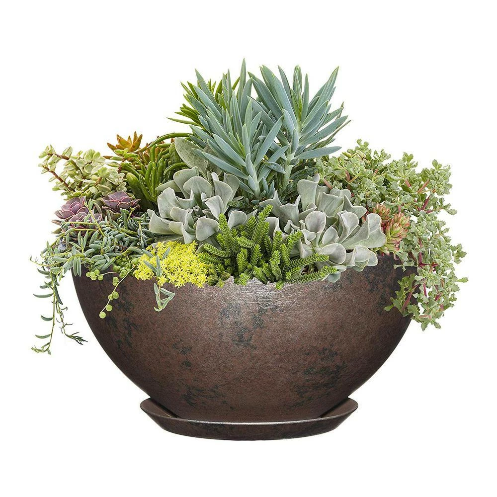 Classic Home & Garden 10 in. Northern Lights Rosie Bowl Resin Planter 5 Classic Home & Garden 10 in. Northern Lights Rosie Bowl Resin Planter - Image 3