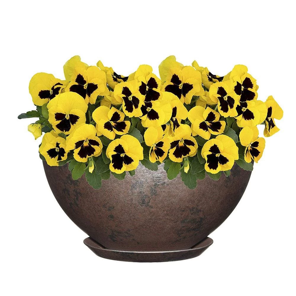 Classic Home & Garden 10 in. Northern Lights Rosie Bowl Resin Planter 3 Classic Home & Garden 10 in. Northern Lights Rosie Bowl Resin Planter