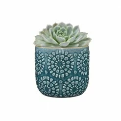 Classic Home & Garden Bellisima 4.5 in. Ocean Ceramic Planter with Drainage Plug 8 Classic Home & Garden Bellisima 4.5 in. Ocean Ceramic Planter with Drainage Plug -Cheap Good Directions Store ocean classic home garden plant pots hd1418p 136 4f 1000