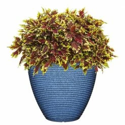 Classic Home & Garden 13 in. Perfect Blue Cali Resin Planter 8 Classic Home & Garden 13 in. Perfect Blue Cali Resin Planter -Cheap Good Directions Store perfect blue classic home garden plant pots 4783 406r 4f 1000