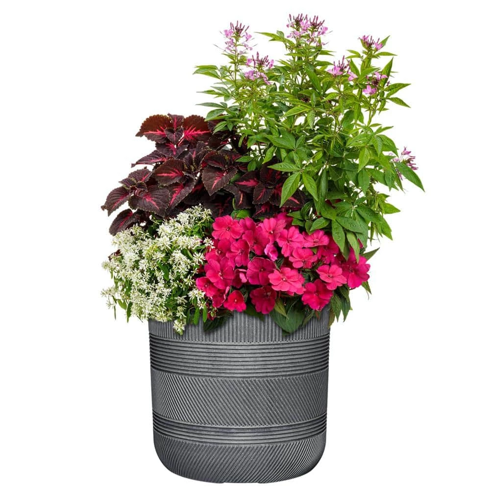 Classic Home & Garden Richmond 15 in. x 15 in. Raven Wash Resin Self-Watering Planter 4 Classic Home & Garden Richmond 15 in. x 15 in. Raven Wash Resin Self-Watering Planter - Image 2