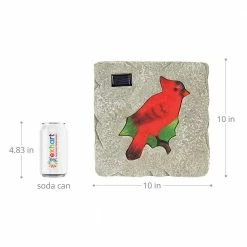 Exhart Solar Cardinal 9.84 in. x 9.84 in. x 1.18 in. Red Cardinal Resin Step Stone -Cheap Good Directions Store red exhart stepping stones 72139 rs 1f 1000