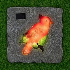 Exhart Solar Cardinal 9.84 in. x 9.84 in. x 1.18 in. Red Cardinal Resin Step Stone -Cheap Good Directions Store red exhart stepping stones 72139 rs 31 1000