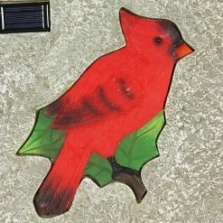 Exhart Solar Cardinal 9.84 in. x 9.84 in. x 1.18 in. Red Cardinal Resin Step Stone -Cheap Good Directions Store red exhart stepping stones 72139 rs 4f 1000