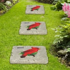 Exhart Solar Cardinal 9.84 in. x 9.84 in. x 1.18 in. Red Cardinal Resin Step Stone -Cheap Good Directions Store red exhart stepping stones 72139 rs 76 1000