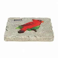 Exhart Solar Cardinal 9.84 in. x 9.84 in. x 1.18 in. Red Cardinal Resin Step Stone -Cheap Good Directions Store red exhart stepping stones 72139 rs fa 1000