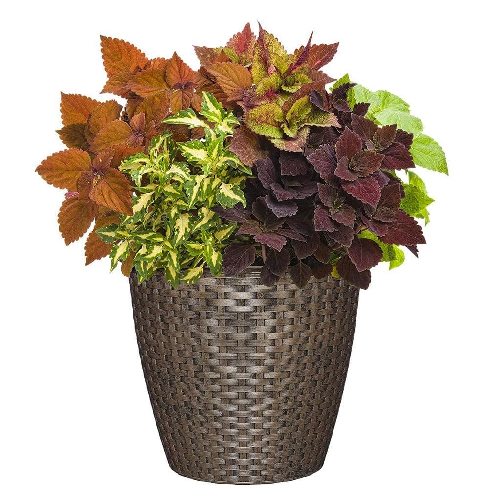 Classic Home & Garden Nantucket 10 in. Russet Resin Planter 4 Classic Home & Garden Nantucket 10 in. Russet Resin Planter - Image 2