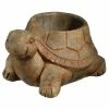 Classic Home & Garden Large Rust Cement Turtle Planter 1 Classic Home & Garden Large Rust Cement Turtle Planter -Cheap Good Directions Store rust classic home garden plant pots 9 3452r 1 64 1000