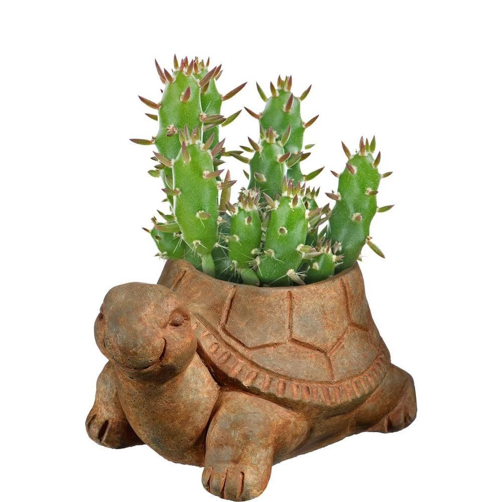 Classic Home & Garden Large Rust Cement Turtle Planter 4 Classic Home & Garden Large Rust Cement Turtle Planter - Image 2