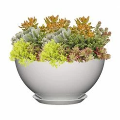 Classic Home & Garden 10 in. Stark White Rosie Bowl Resin Planter -Cheap Good Directions Store stark white classic home garden plant pots 9010d 405s 4f 1000