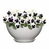 Classic Home & Garden 10 in. Stark White Rosie Bowl Resin Planter 1 Classic Home & Garden 10 in. Stark White Rosie Bowl Resin Planter -Cheap Good Directions Store stark white classic home garden plant pots 9010d 405s 64 1000