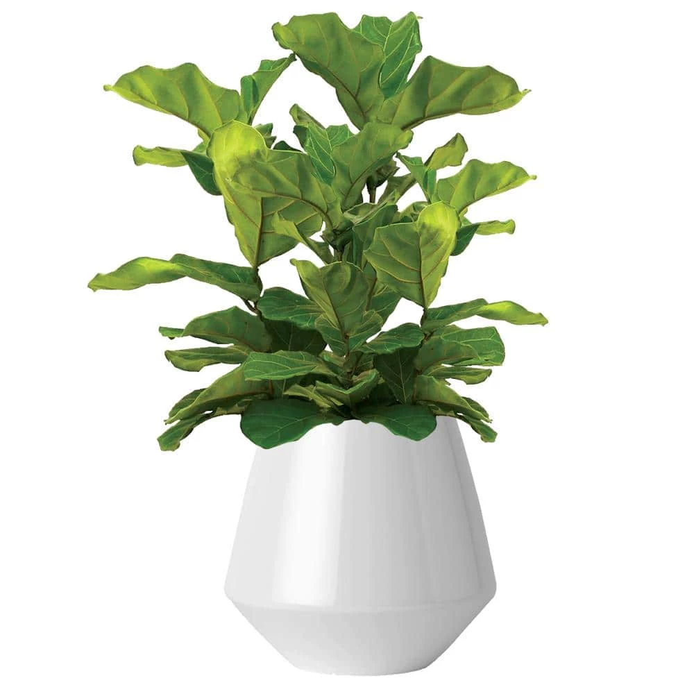 Classic Home & Garden 16 in. Mid Century Stark White Resin Planter (2-Pack) 6 Classic Home & Garden 16 in. Mid Century Stark White Resin Planter (2-Pack) - Image 4