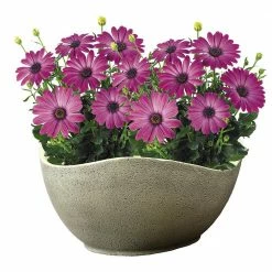 Classic Home & Garden 12.5 in. Stone Resin Arc Planter -Cheap Good Directions Store stone classic home garden plant pots 573d 120 4f 1000