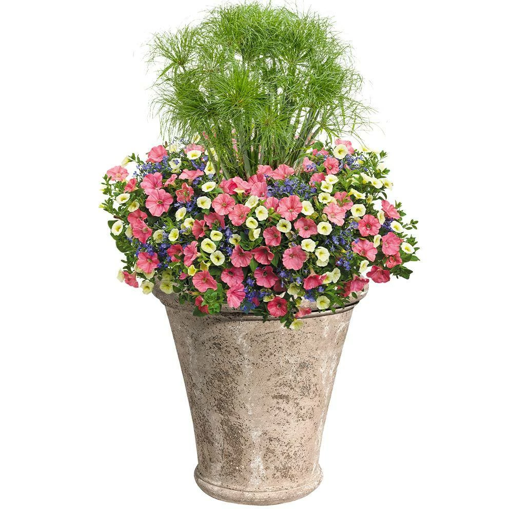 Classic Home & Garden Preston 20 in. Natural LavaStone Planter 4 Classic Home & Garden Preston 20 in. Natural LavaStone Planter - Image 2