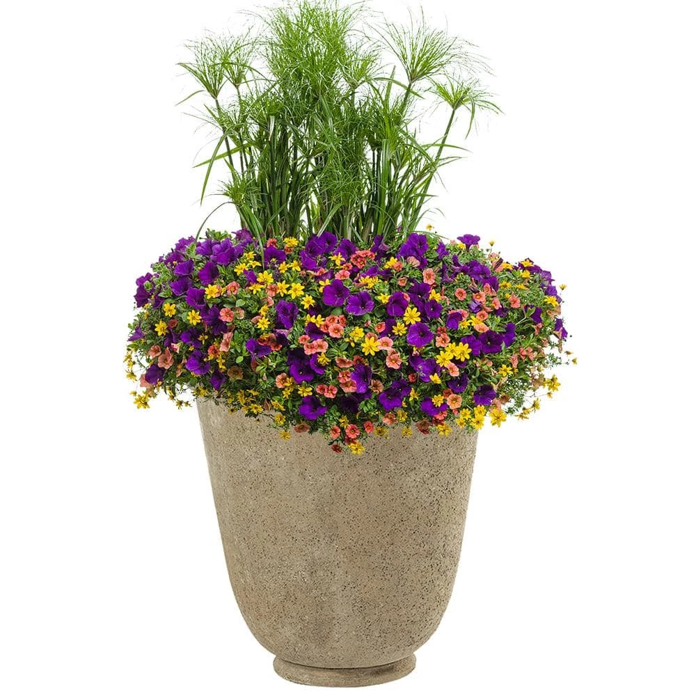 Classic Home & Garden Hutton 22 in. Natural LavaStone Planter 4 Classic Home & Garden Hutton 22 in. Natural LavaStone Planter - Image 2
