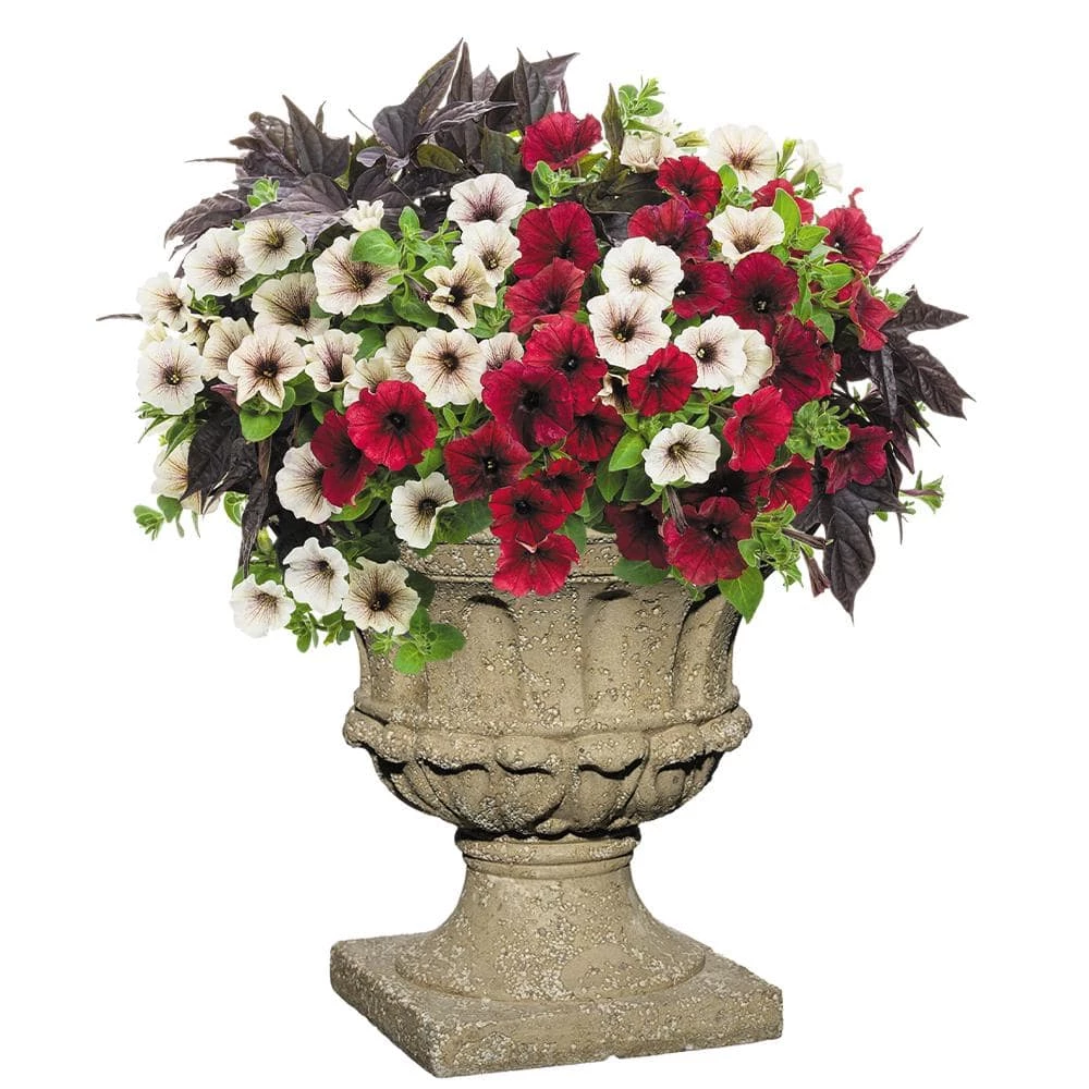 Classic Home & Garden Luzon 14 in. Natural LavaStone Urn Planter 4 Classic Home & Garden Luzon 14 in. Natural LavaStone Urn Planter - Image 2