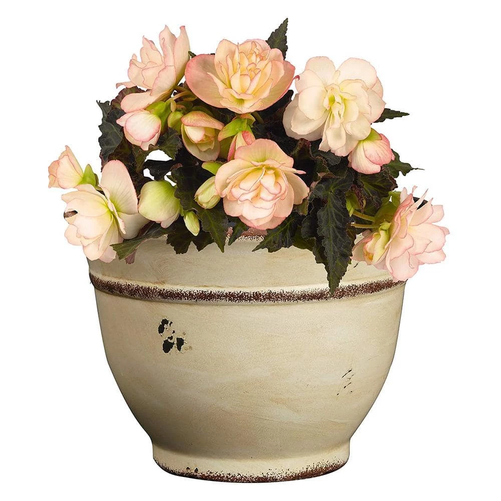 Classic Home & Garden 9 in. Vintage Ivory Enamel Alena Resin Planter 5 Classic Home & Garden 9 in. Vintage Ivory Enamel Alena Resin Planter - Image 3