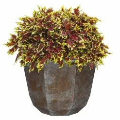 Classic Home & Garden 15 in. Weathered Copper Shaina Resin Planter 8 Classic Home & Garden 15 in. Weathered Copper Shaina Resin Planter -Cheap Good Directions Store weathered copper classic home garden plant pots 8005 377r 4f 1000
