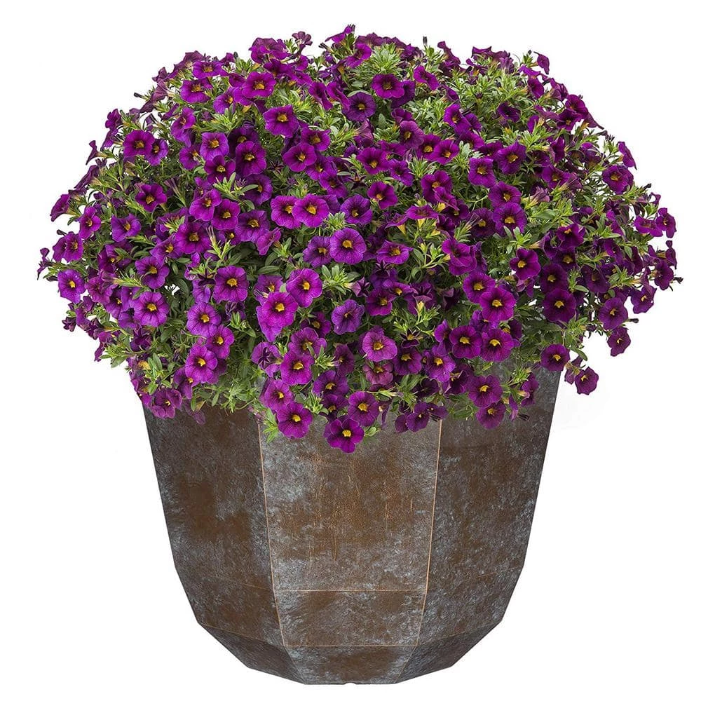 Classic Home & Garden 15 in. Weathered Copper Shaina Resin Planter 4 Classic Home & Garden 15 in. Weathered Copper Shaina Resin Planter - Image 2