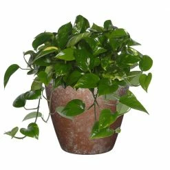 Classic Home & Garden Vogue 8 in. Weathered Copper Resin Planter 8 Classic Home & Garden Vogue 8 in. Weathered Copper Resin Planter -Cheap Good Directions Store weathered copper classic home garden plant pots 807 377r 4f 1000