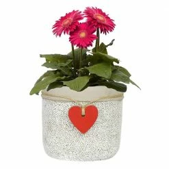 Classic Home & Garden Heart Large Whitewash Cement Pot Planter 8 Classic Home & Garden Heart Large Whitewash Cement Pot Planter -Cheap Good Directions Store whitewash classic home garden plant pots 210028p 396 4f 1000