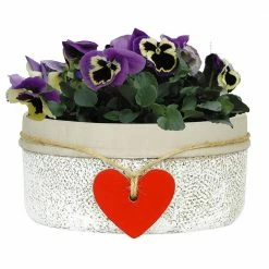 Classic Home & Garden Heart 6.5 in. Whitewash Concrete Bowl Planter 8 Classic Home & Garden Heart 6.5 in. Whitewash Concrete Bowl Planter -Cheap Good Directions Store whitewash classic home garden plant pots 280000p 396 4f 1000