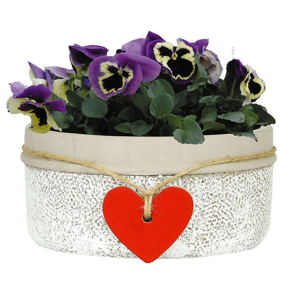 Classic Home & Garden Heart 6.5 in. Whitewash Concrete Bowl Planter 5 Classic Home & Garden Heart 6.5 in. Whitewash Concrete Bowl Planter - Image 3
