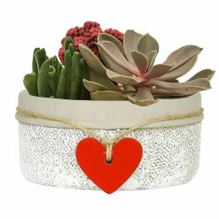 Classic Home & Garden Heart 6.5 in. Whitewash Concrete Bowl Planter