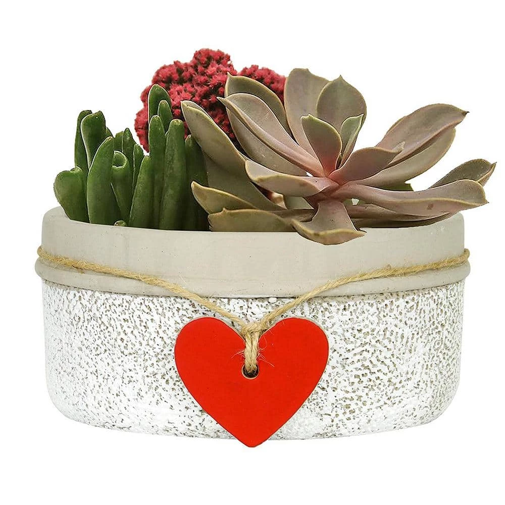 Classic Home & Garden Heart 6.5 in. Whitewash Concrete Bowl Planter 3 Classic Home & Garden Heart 6.5 in. Whitewash Concrete Bowl Planter
